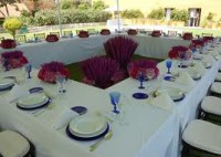 /album/bodas/images-5-jpg/